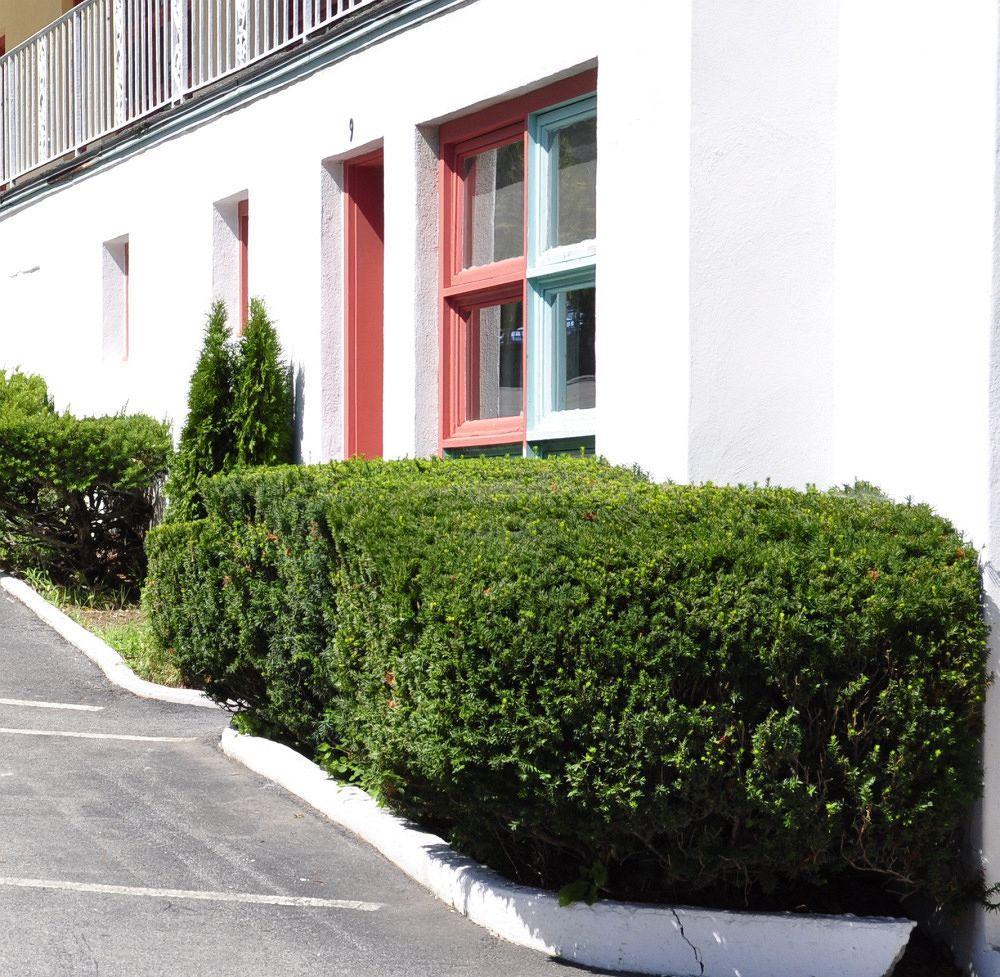 O'Sullivan'S Motel レイク・ジョージ エクステリア 写真